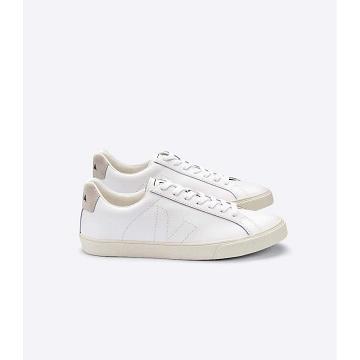 Women's Veja ESPLAR LEATHER Sneakers White/Beige | SG 621HAP